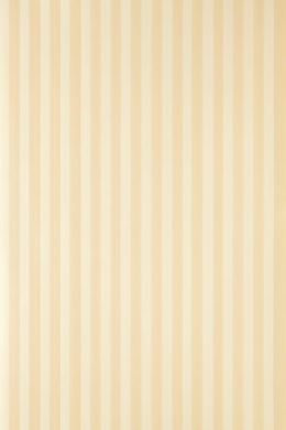 CLOSET STRIPE ST 317-0