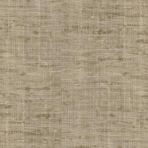 SONOMA - MUSHROOM -0