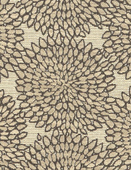 ZINNIA - FIRST FROST-0