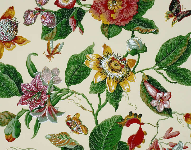 ODALYS - RED/GREEN-0