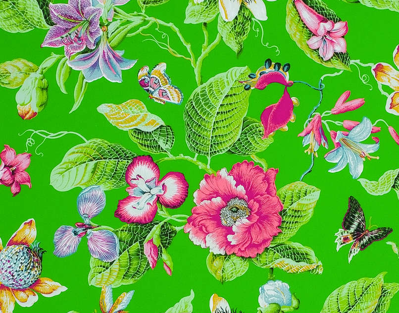 ODALYS - AMAZON GREEN-0