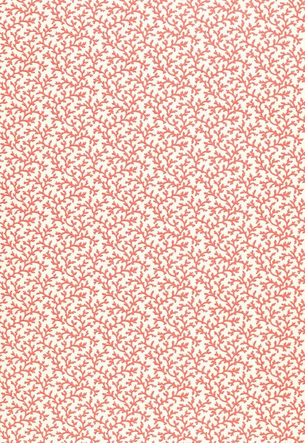 CORAL VINE The Paint Store Online