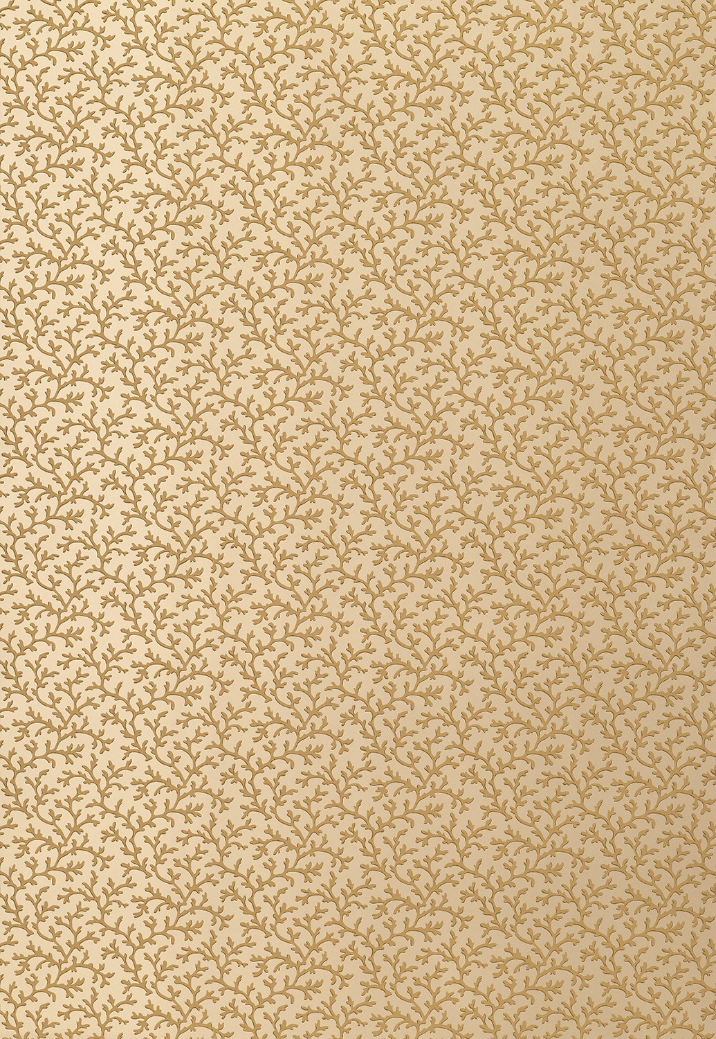 CORAL VINE - BURNISHED GOLD-0