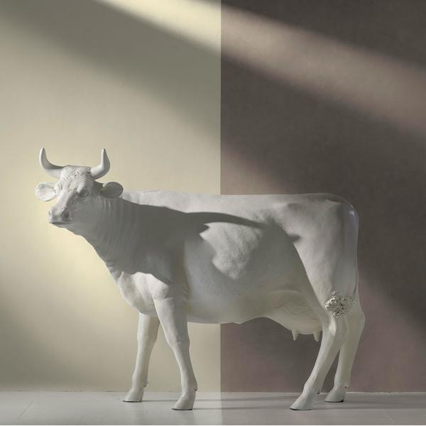 62127-japan-ivory-and-thunder-lacquered-wallpaper-lifestyle