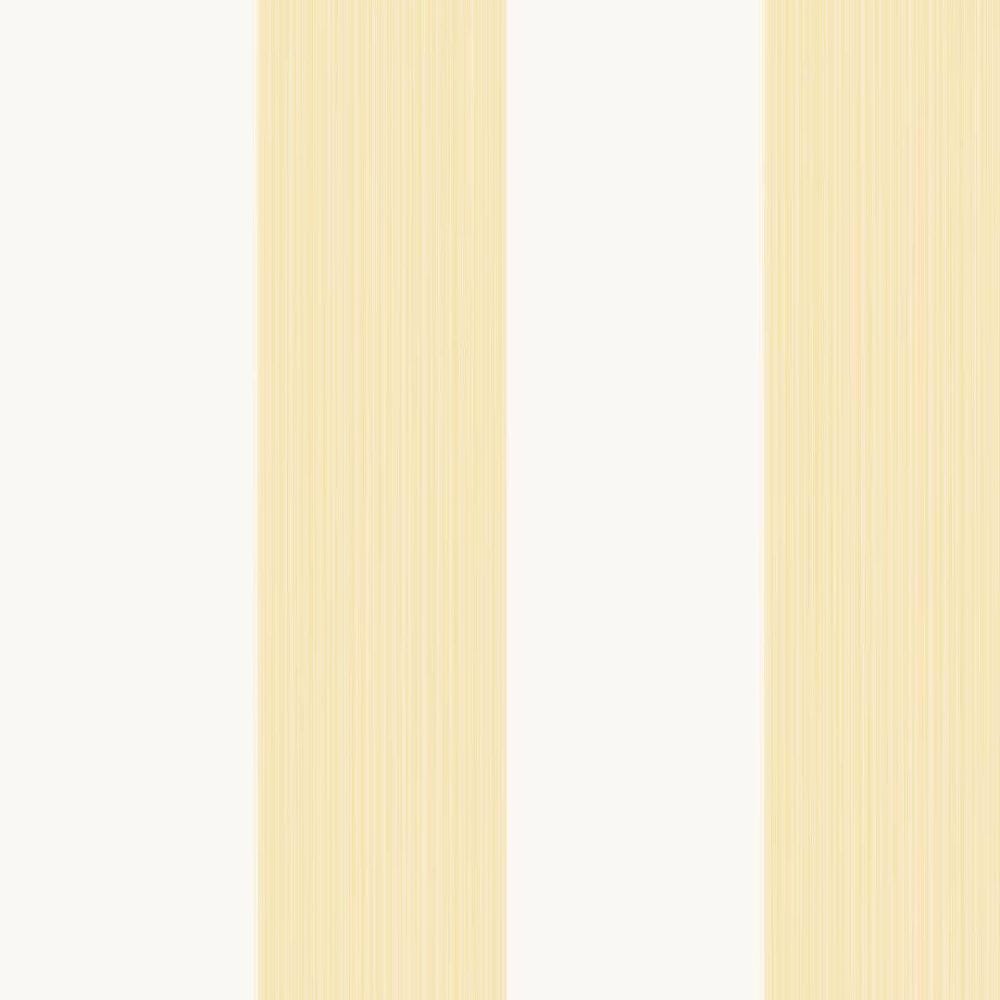 Farrow & Ball Broad Stripe Wallpaper 1319
